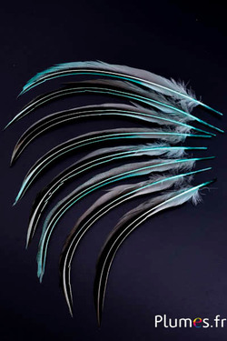 Canard Mandarin - 15-20 cm - vert d´eau